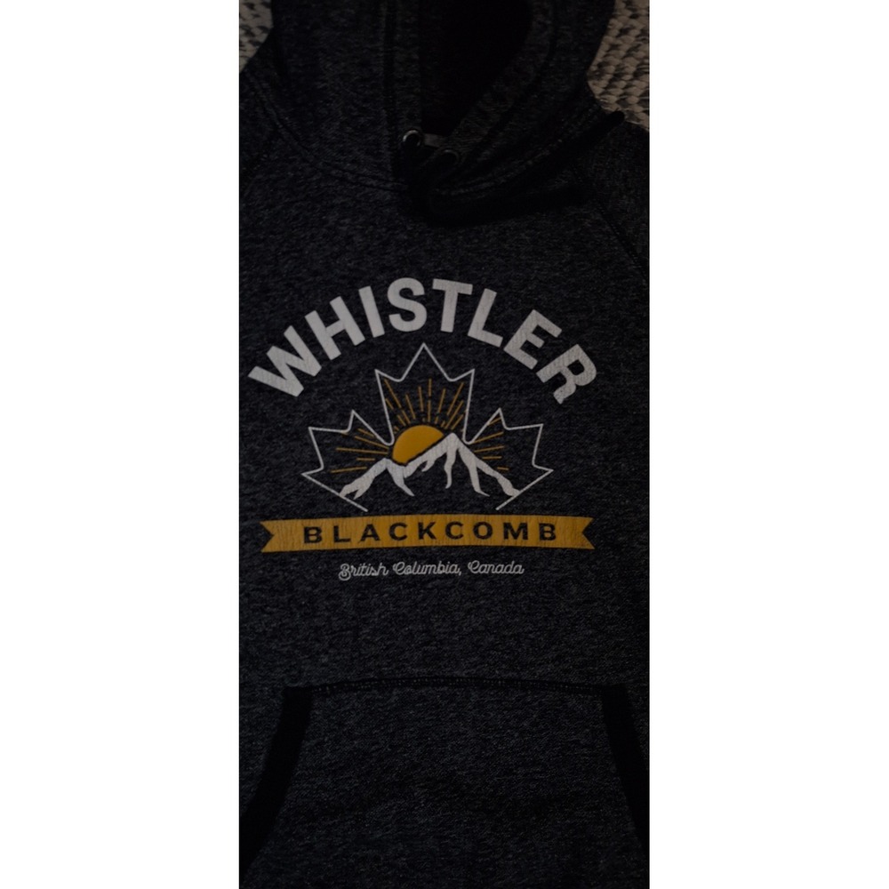 Roots Canada Whistler Blackcomb Hoodie Charcoal Grey Graphic Sweatshirt Small - Picture 8 of 14